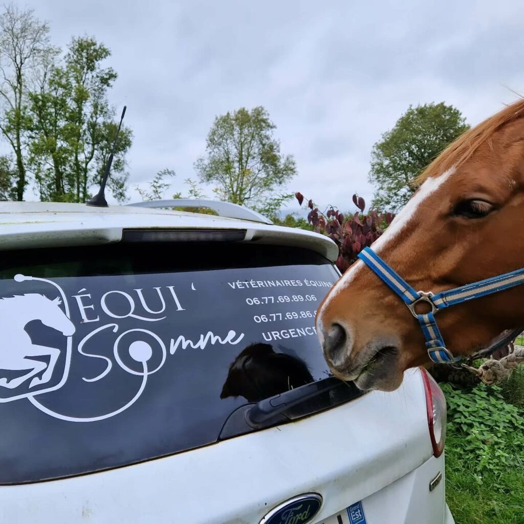 Voiture Equi'Somme