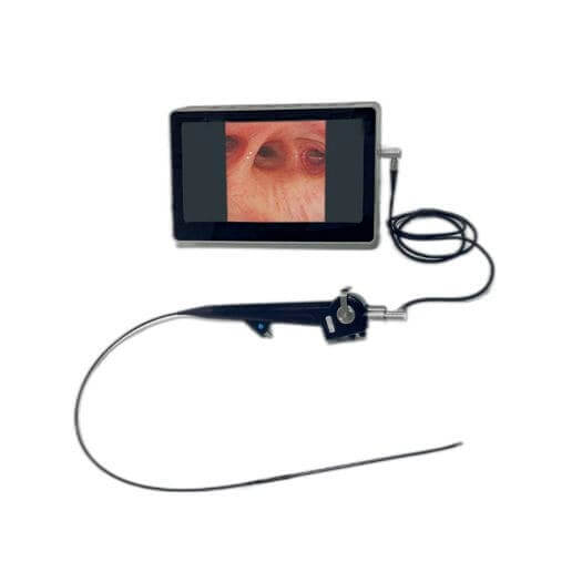 gastroscope équin